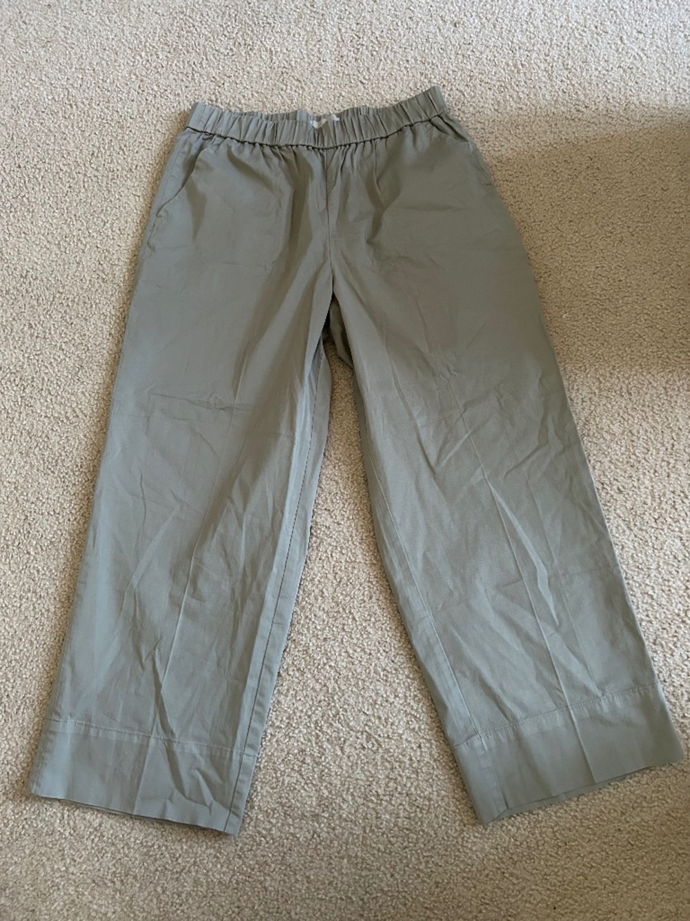 Sage Green The Everyday Pant Sz XXL by Everlane Straight Leg 98% Organic Cotton